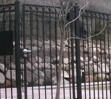 Custom Circle Gate